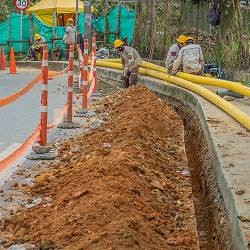 Cumplimiento Resolución 080